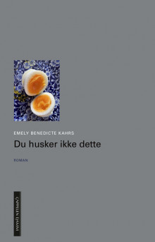 Du husker ikke dette av Emely Benedicte Kahrs (Innbundet)