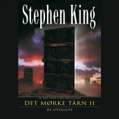 Det mørke tårn II: De utvalgte av Stephen King (Nedlastbar lydbok)