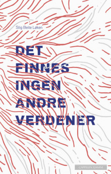 Det finnes ingen andre verdener av Stig Beite Løken (Innbundet)