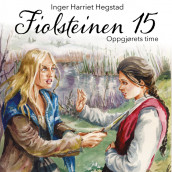 Oppgjørets time av Inger Harriet Hegstad (Nedlastbar lydbok)