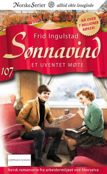 Et uventet møte av Frid Ingulstad (Ebok)