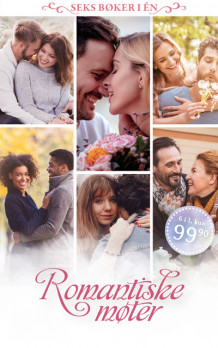 Romantiske møter av Rachel Branton, Sarah M. Eden, Victorine E. Lieske, Annette Lyon, Heather B. Moore og Sariah Wilson (Ebok)