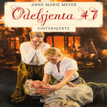 Vinterhjerte av Anne Marie Meyer (Nedlastbar lydbok)