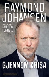 Gjennom krisa av Raymond Johansen og Anders Lundell (Ebok)