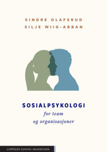Sosialpsykologi for team og organisasjoner av Sindre Olafsrud og Silje Wiig-Abban (Heftet)