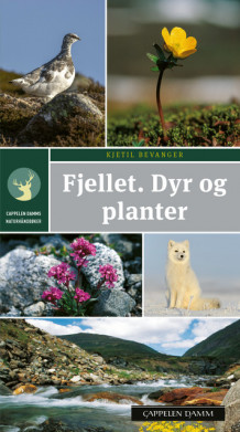 Fjellet. Dyr og planter av Kjetil Bevanger (Heftet)