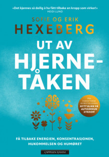 Ut av hjernetåken av Erik Hexeberg og Sofie Hexeberg (Ebok)