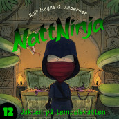 Nattninja - Jakten på tempelskatten av Rolf Magne G. Andersen (Nedlastbar lydbok)