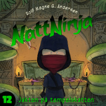 Nattninja - Jakten på tempelskatten av Rolf Magne G. Andersen (Nedlastbar lydbok)