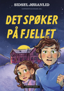 Det spøker på fjellet av Sidsel Jøranlid (Innbundet)