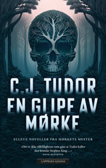 En glipe av mørke av C.J. Tudor (Innbundet)