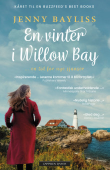 En vinter i Willow Bay av Jenny Bayliss (Heftet)
