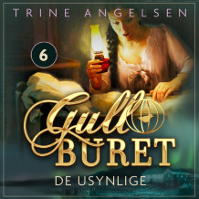 De usynlige av Trine Angelsen (Nedlastbar lydbok)