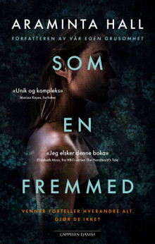 Som en fremmed av Araminta Hall (Heftet)