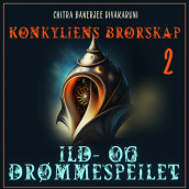 Ild- og drømmespeilet av Chitra Banerjee Divakaruni (Nedlastbar lydbok)