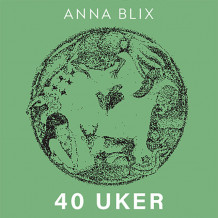 40 uker, en menneskegraviditet og 81 andre måter å få barn på av Anna Blix (Nedlastbar lydbok)