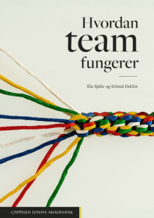 Hvordan team fungerer av Ela Sjølie og Erlend Dehlin (Heftet)