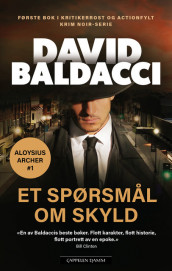 Et spørsmål om skyld av David Baldacci (Ebok)