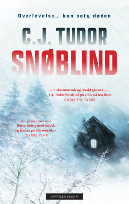 Omslag - Snøblind