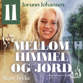 Skjør lykke av Jorunn Johansen (Nedlastbar lydbok)