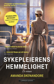 Sykepleierens hemmelighet av Amanda Skenandore (Heftet)
