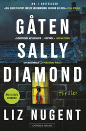 Gåten Sally Diamond av Liz Nugent (Heftet)