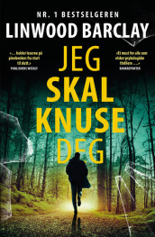 Jeg skal knuse deg av Linwood Barclay (Heftet)