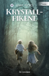 De navnløse av Jenny Micko (Ebok)