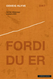 Fordi du er av Odveig Klyve (Heftet)