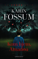 Omslag - Kom hjem, Amadou