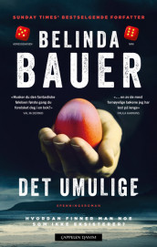 Det umulige av Belinda Bauer (Heftet)