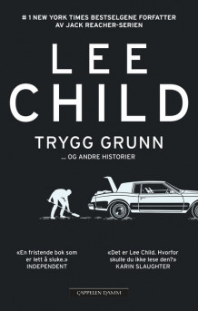 Trygg grunn av Lee Child (Ebok)