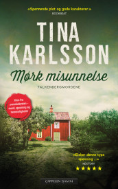Mørk misunnelse av Tina Karlsson (Ebok)