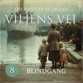 Blindgang av Ole Kristian Ellingsen (Nedlastbar lydbok)