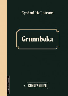 Grunnboka av Eyvind Hellstrøm (Ebok)