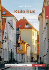 Leseunivers 15: Kule hus av Maria Roslev (Innbundet)