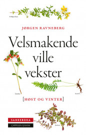 Sankeboka høst og vinter av Jørgen Ravneberg (Fleksibind)