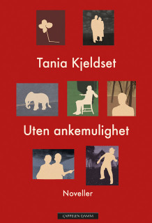 Uten ankemulighet av Tania Kjeldset (Innbundet)