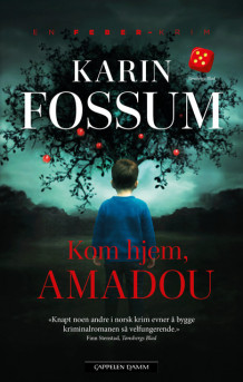 Kom hjem, Amadou av Karin Fossum (Heftet)