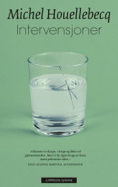 Intervensjoner av Michel Houellebecq (Heftet)