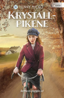 Rettferdighetens ild av Jenny Micko (Ebok)