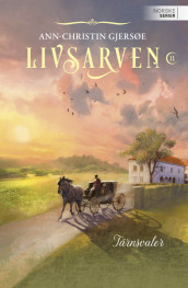 Tårnsvaler av Ann-Christin Gjersøe (Ebok)