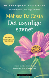 Det usynlige savnet av Mélissa Da Costa (Ebok)