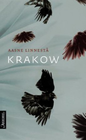 Krakow av Aasne Linnestå (Innbundet)