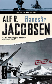 Banesår av Alf R. Jacobsen (Ebok)