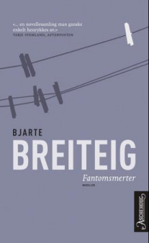 Fantomsmerter av Bjarte Breiteig (Heftet)