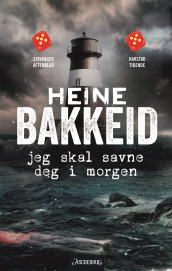 Jeg skal savne deg i morgen av Heine T. Bakkeid (Ebok)