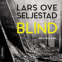 Blind av Lars Ove Seljestad (Nedlastbar lydbok)
