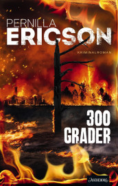 300 grader av Pernilla Ericson (Ebok)