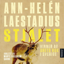 Stjålet av Ann-Helén Laestadius (Nedlastbar lydbok)